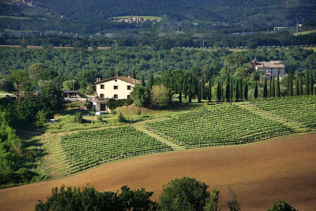 Il Collicello Villa Narni Exteriör bild